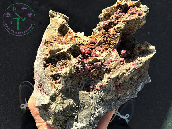 淡紅銀礦，摩洛哥，瓦爾扎扎特，